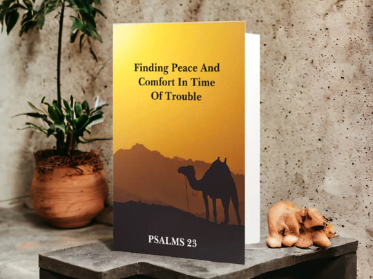 Finding Peace And Comfort In Time Of Trouble ( Psalms 23 )