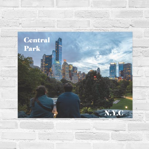 Central Park N.Y.C Gift Set