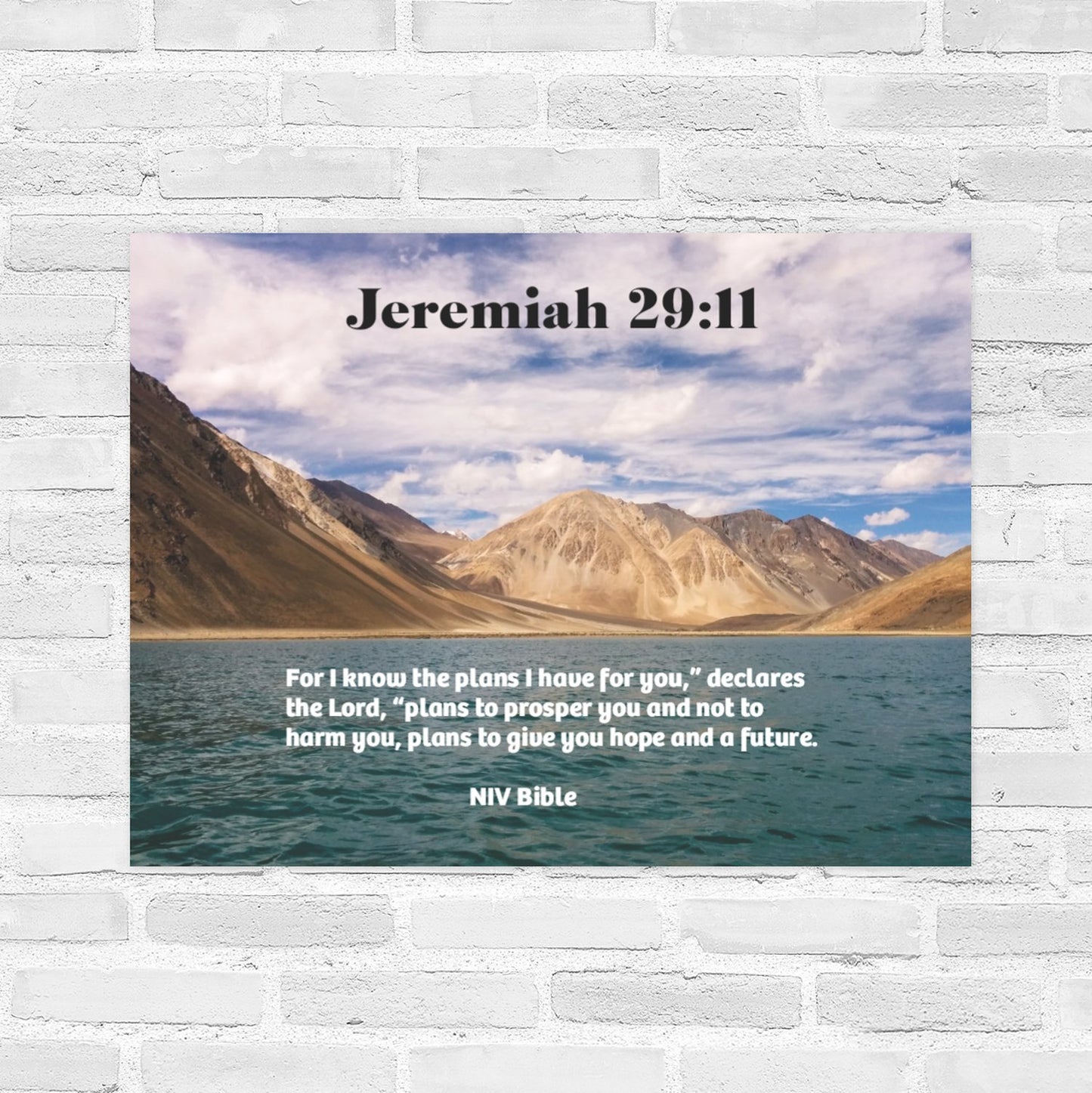 Jeremiah 29:11  22 x 28  Wall Poster