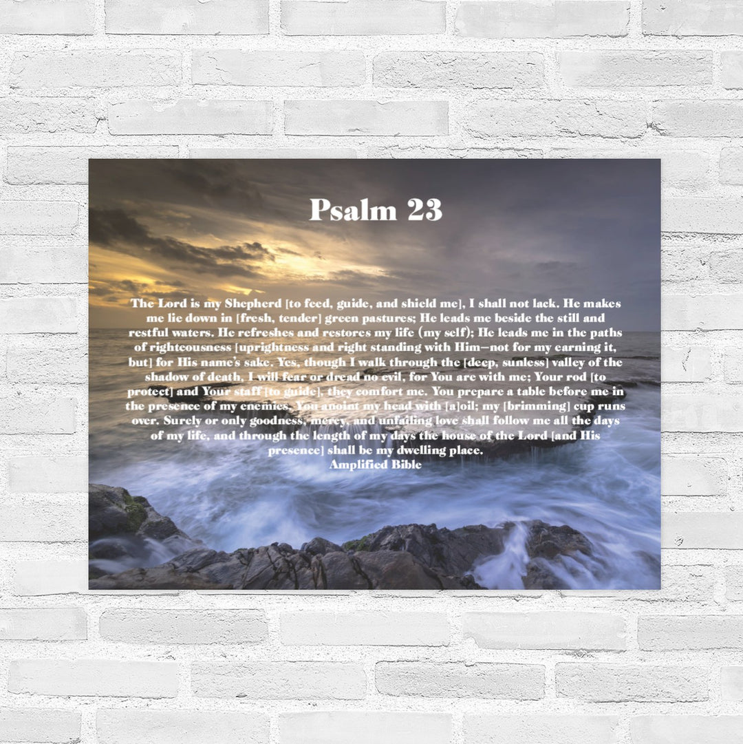 Psalm 23 22 x 28 Wall Poster